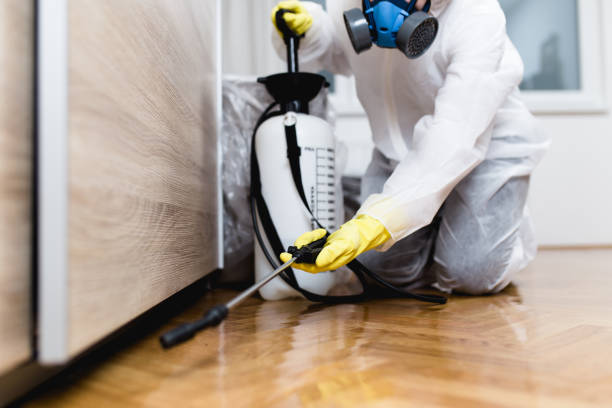 Wasp Removal Services in Hudson, CO