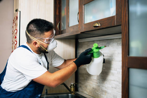 Best Pest Inspection Near Me  in Hudson, CO