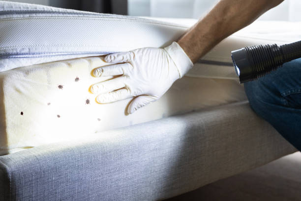 Pest Prevention Services in Hudson, CO