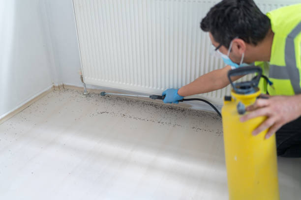 Professional Pest Control in Hudson, CO